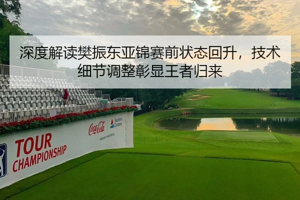 深度解读樊振东亚锦赛前状态回升，技术细节调整彰显王者归来